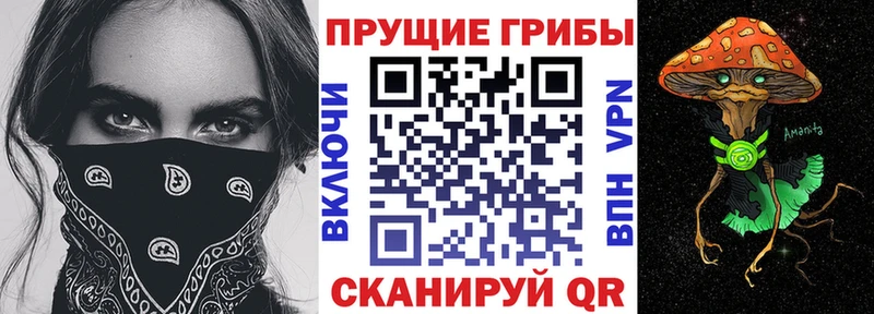 Псилоцибиновые грибы прущие грибы  купить   Усинск 