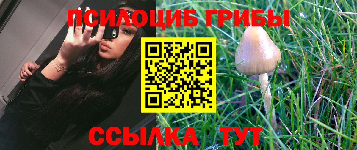 Усинск  Галлюциногенные грибы MAGIC MUSHROOMS  Псилоцибиновые грибы Cubensis  Вход с VPN 